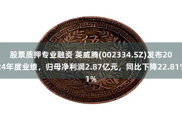 股票质押专业融资 英威腾(002334.SZ)发布2024年度业绩，归母净利润2.87亿元，同比下降22.81%