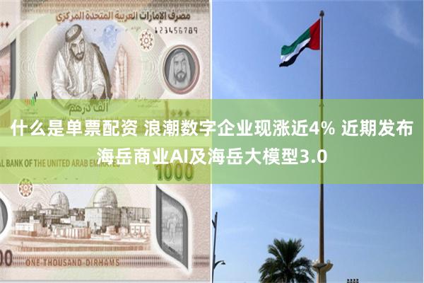 什么是单票配资 浪潮数字企业现涨近4% 近期发布海岳商业AI及海岳大模型3.0