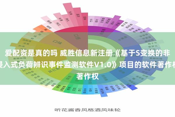 爱配资是真的吗 威胜信息新注册《基于S变换的非侵入式负荷辨识事件监测软件V1.0》项目的软件著作权