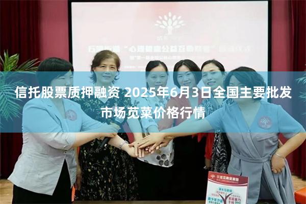 信托股票质押融资 2025年6月3日全国主要批发市场苋菜价格行情