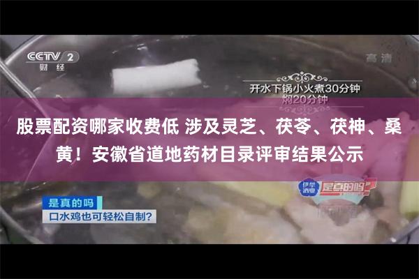 股票配资哪家收费低 涉及灵芝、茯苓、茯神、桑黄！安徽省道地药材目录评审结果公示