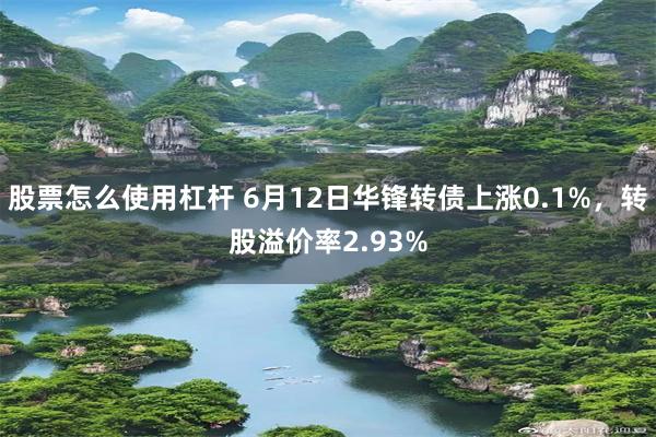 股票怎么使用杠杆 6月12日华锋转债上涨0.1%，转股溢价率2.93%