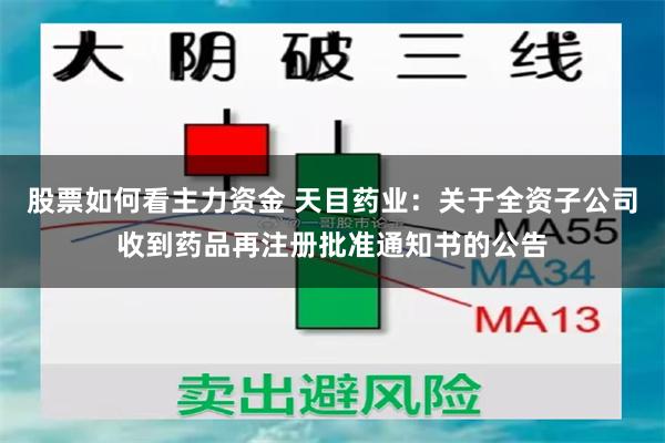 股票如何看主力资金 天目药业：关于全资子公司收到药品再注册批准通知书的公告