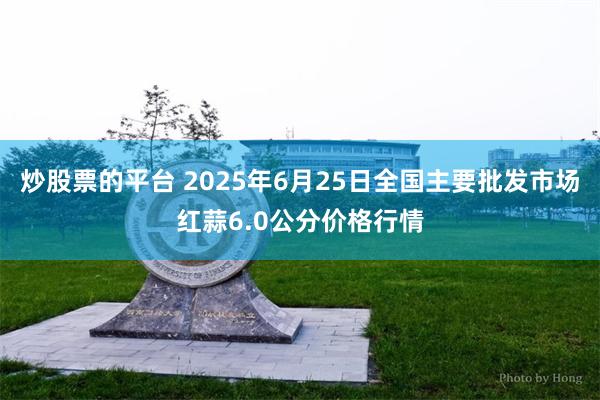 炒股票的平台 2025年6月25日全国主要批发市场红蒜6.0公分价格行情