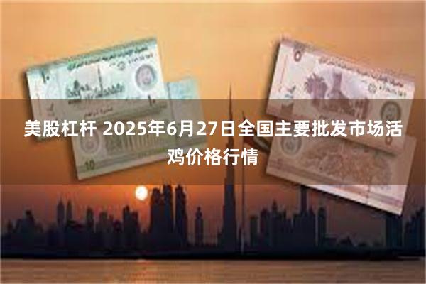 美股杠杆 2025年6月27日全国主要批发市场活鸡价格行情