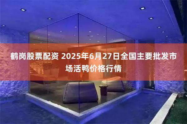 鹤岗股票配资 2025年6月27日全国主要批发市场活鸭价格行情