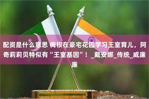 配资是什么意思 梅根在豪宅花园学习王室育儿，阿奇莉莉贝特似有“王室基因”！_戴安娜_传统_威廉