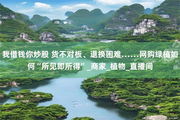 我借钱你炒股 货不对板、退换困难……网购绿植如何“所见即所得”_商家_植物_直播间