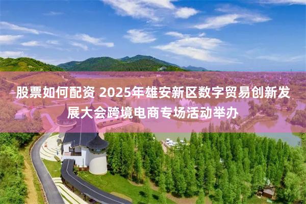 股票如何配资 2025年雄安新区数字贸易创新发展大会跨境电商专场活动举办