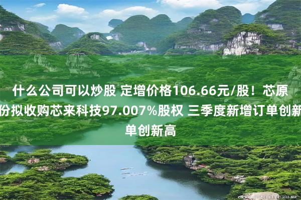 什么公司可以炒股 定增价格106.66元/股！芯原股份拟收购芯来科技97.007%股权 三季度新增订单创新高