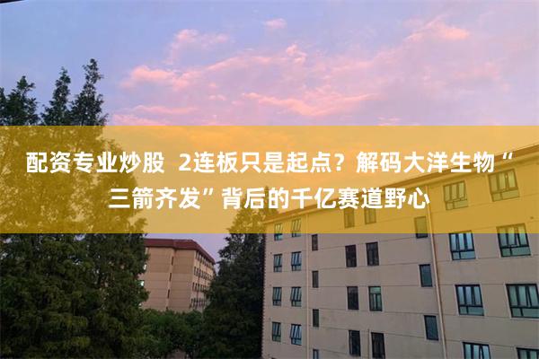 配资专业炒股  2连板只是起点？解码大洋生物“三箭齐发”背后的千亿赛道野心