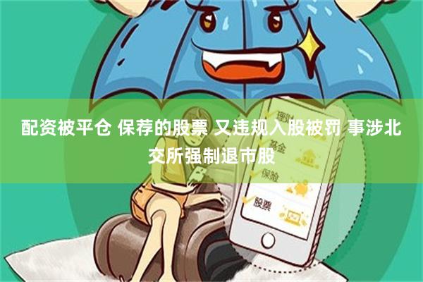 配资被平仓 保荐的股票 又违规入股被罚 事涉北交所强制退市股