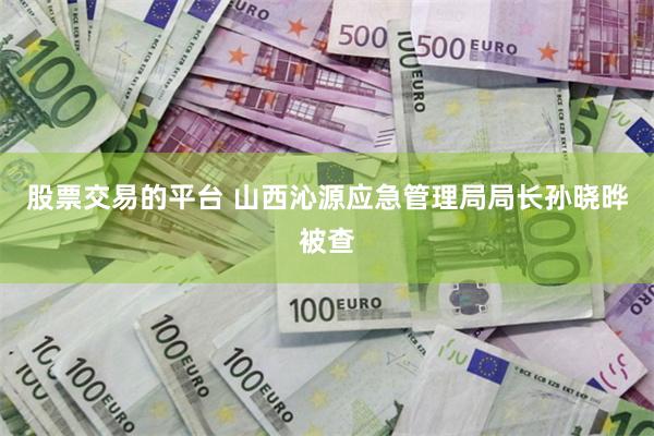 股票交易的平台 山西沁源应急管理局局长孙晓晔被查