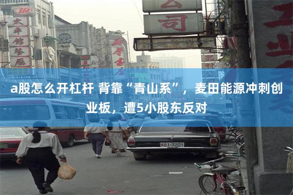 a股怎么开杠杆 背靠“青山系”，麦田能源冲刺创业板，遭5小股东反对