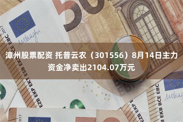 漳州股票配资 托普云农（301556）8月14日主力资金净卖出2104.07万元