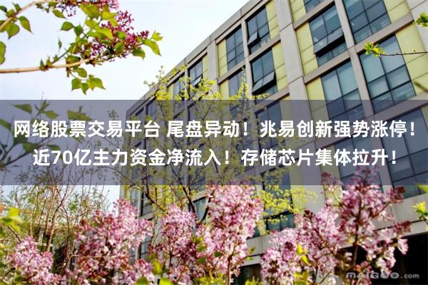 网络股票交易平台 尾盘异动!兆易创新强势涨停!近70亿主力资金净流入!存储芯片集体拉升!