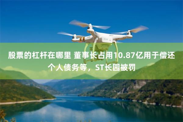 股票的杠杆在哪里 董事长占用10.87亿用于偿还个人债务等，ST长园被罚