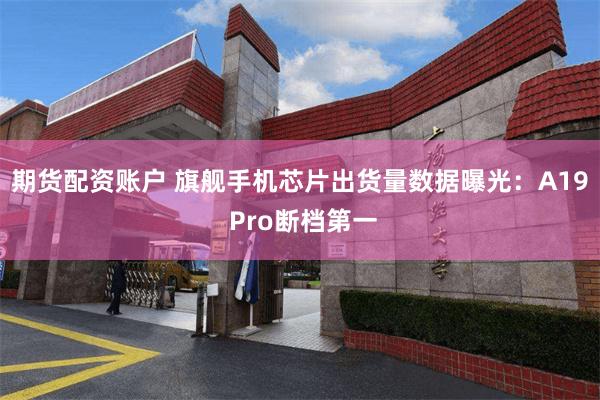 期货配资账户 旗舰手机芯片出货量数据曝光:A19 Pro断档第一