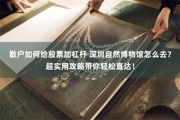 散户如何给股票加杠杆 深圳自然博物馆怎么去?超实用攻略带你轻松直达!