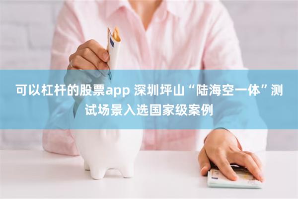 可以杠杆的股票app 深圳坪山“陆海空一体”测试场景入选国家级案例