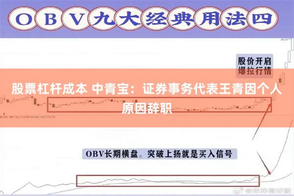 股票杠杆成本 中青宝：证券事务代表王青因个人原因辞职