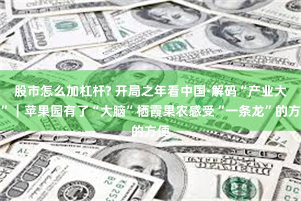 股市怎么加杠杆? 开局之年看中国·解码“产业大脑”｜苹果园有了“大脑”栖霞果农感受“一条龙”的方便