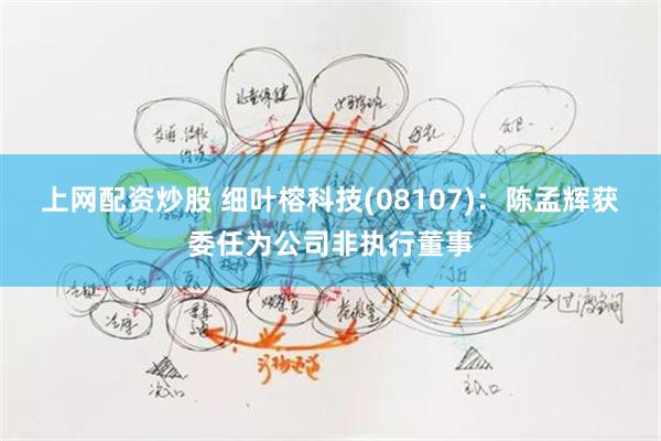 上网配资炒股 细叶榕科技(08107)：陈孟辉获委任为公司非执行董事