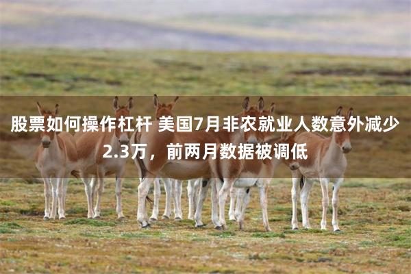 股票如何操作杠杆 美国7月非农就业人数意外减少2.3万，前两月数据被调低