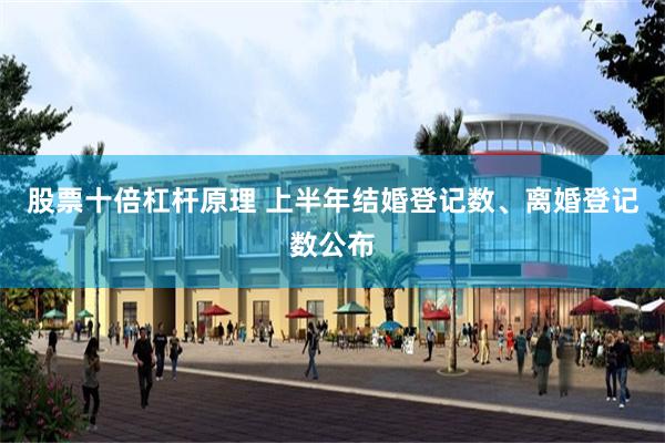 股票十倍杠杆原理 上半年结婚登记数、离婚登记数公布