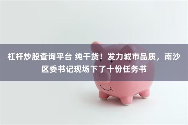 杠杆炒股查询平台 纯干货！发力城市品质，南沙区委书记现场下了十份任务书