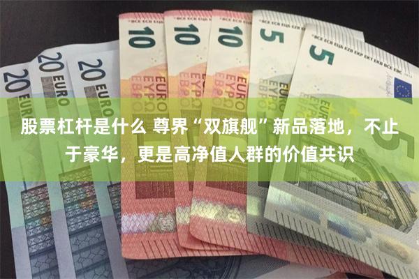 股票杠杆是什么 尊界“双旗舰”新品落地，不止于豪华，更是高净值人群的价值共识