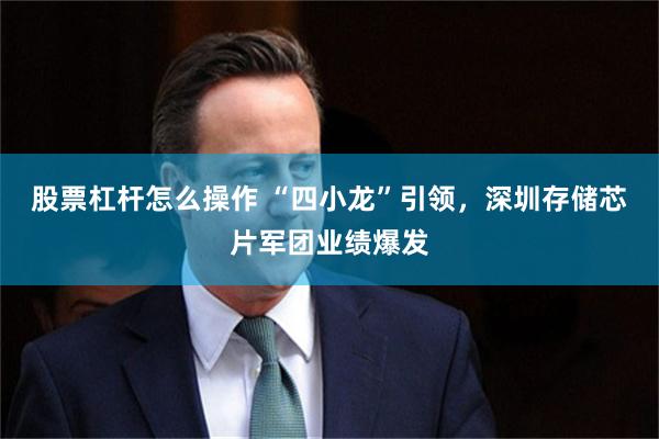 股票杠杆怎么操作 “四小龙”引领,深圳存储芯片军团业绩爆发