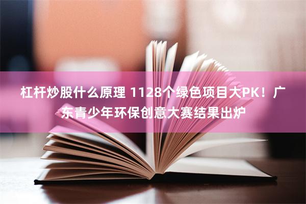 杠杆炒股什么原理 1128个绿色项目大PK！广东青少年环保创意大赛结果出炉