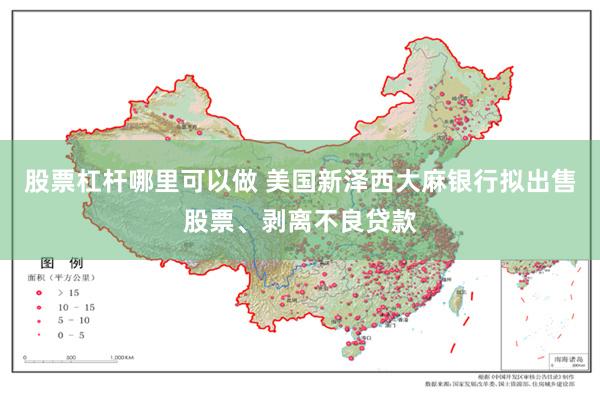 股票杠杆哪里可以做 美国新泽西大麻银行拟出售股票、剥离不良贷款