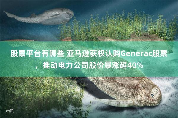 股票平台有哪些 亚马逊获权认购Generac股票，推动电力公司股价暴涨超40%