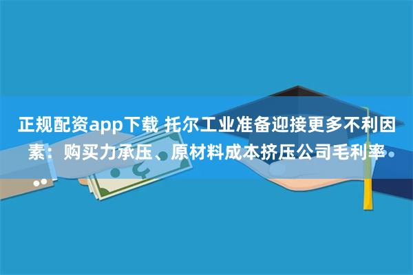 正规配资app下载 托尔工业准备迎接更多不利因素：购买力承压、原材料成本挤压公司毛利率