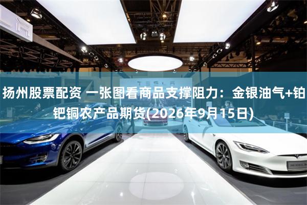 扬州股票配资 一张图看商品支撑阻力：金银油气+铂钯铜农产品期货(2026年9月15日)