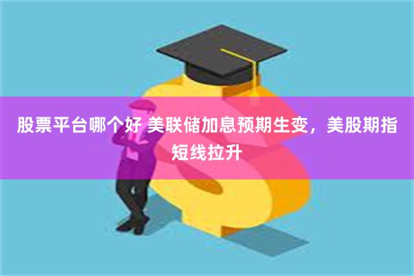 股票平台哪个好 美联储加息预期生变，美股期指短线拉升