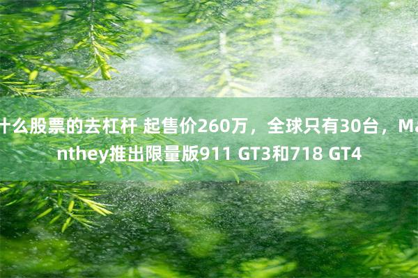 什么股票的去杠杆 起售价260万，全球只有30台，Manthey推出限量版911 GT3和718 GT4
